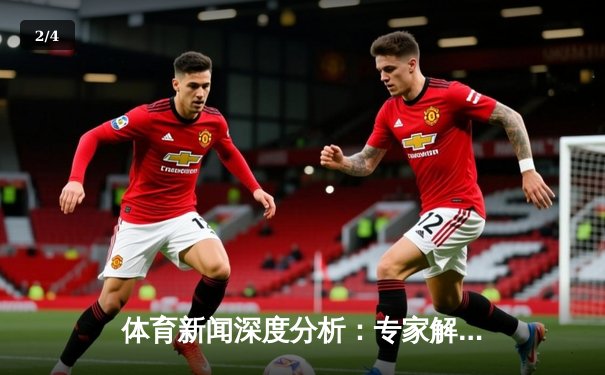 体育新闻深度分析：专家解读 - 2